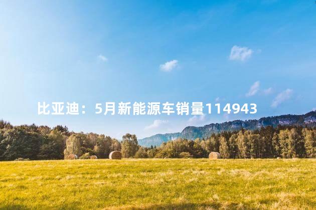 比亚迪：5月新能源车销量114943辆 6月这款车的销量会再破万
